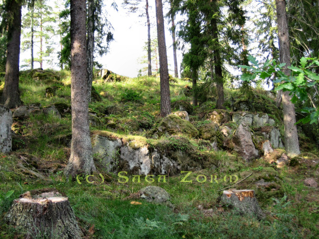 kauttualinna1 (179K)