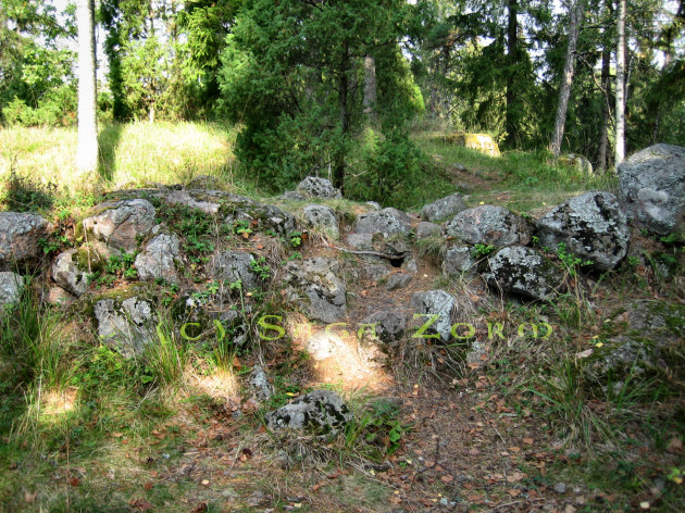kauttualinna3 (183K)