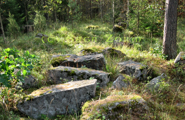 kauttualinna5 (155K)