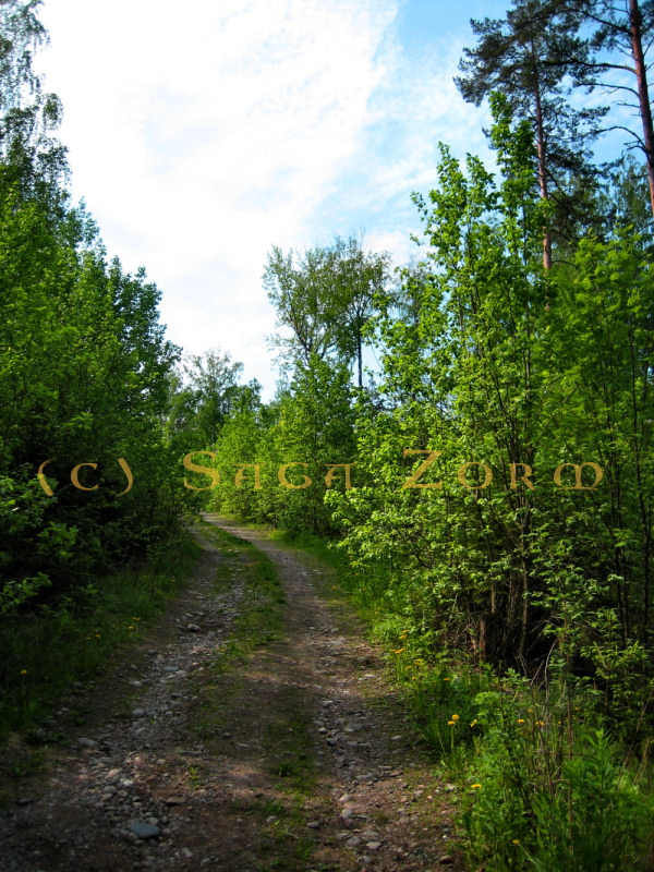 kipervuori1 (237K)