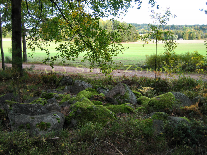 vravattula1 (193K)