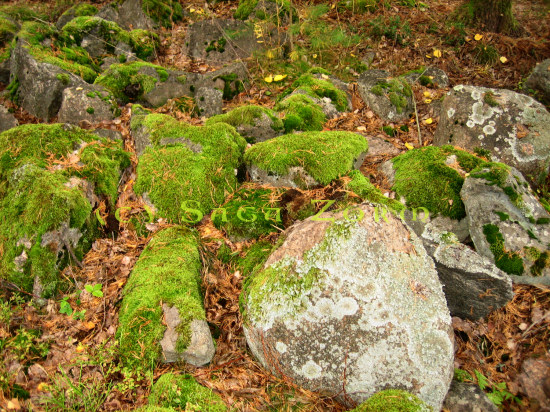 vravattula2 (156K)