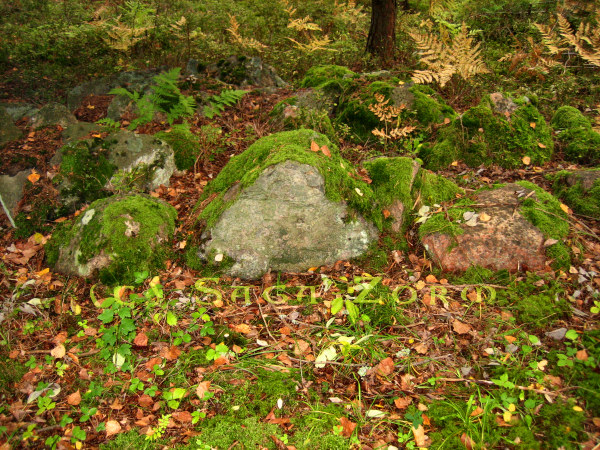 vravattula7 (192K)