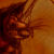 c_discworld (1K)
